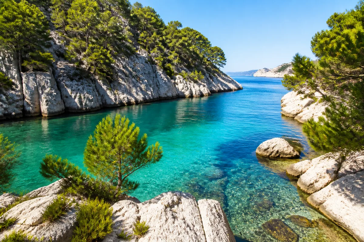 Calanque méditerranéenne aux eaux calmes bordée de pins et de roche calcaire